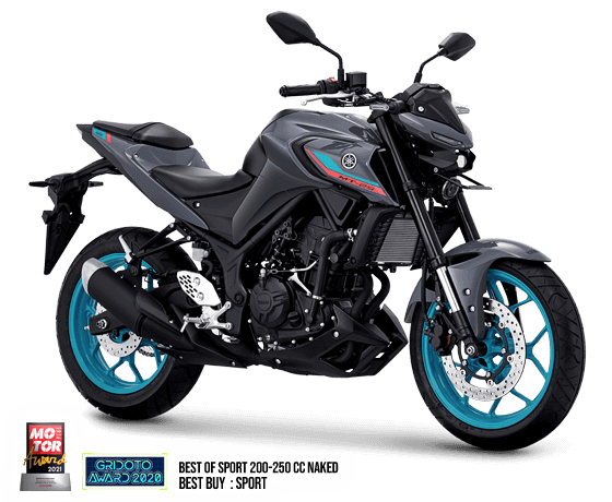 Yamaha-MT-25-Metallic-Dark-Grey